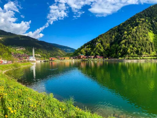 head Trabzon